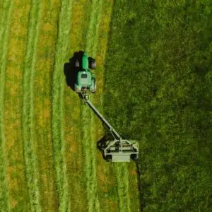 Cutting/Mowing