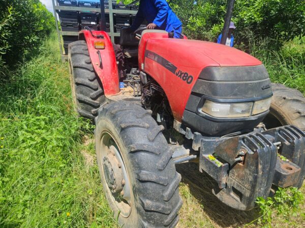 2016 Case JX80 Tractor – 6100 Hours | R220,000 + VAT - Image 4