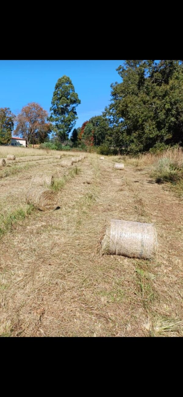 B70 Baler – Fully Refurbished | R45,000 + VAT - Image 4